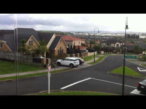 My bad Asian driver neighbours