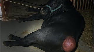 Shocking Truth On What Happened - On The Verge Of Dying