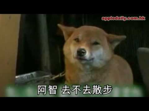 笑瞇瞇~(原發表者:happy麻)(影片)