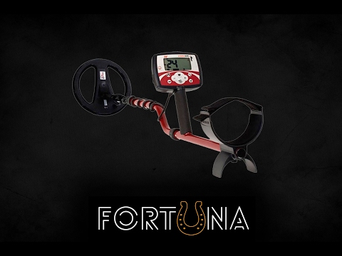 Minelab X-Terra 505