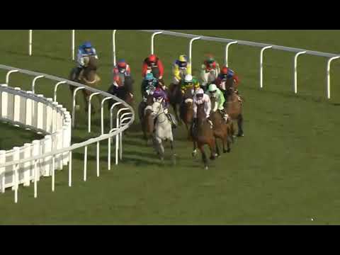 RACE NO -04  Ascot  - UK   14 Feb 2026