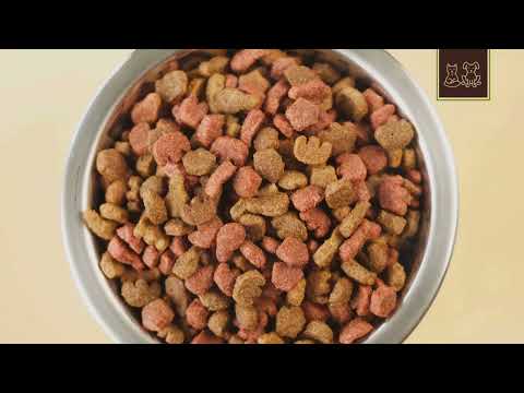 Unlocking the Secrets of Canine Nutrition: A Comprehensive Guide