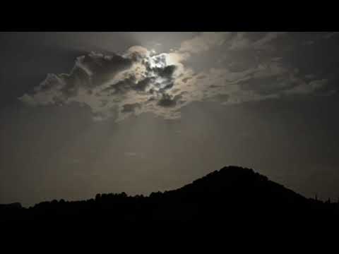 In te Domine speravi (Josquin Desprez) - cantus aureus