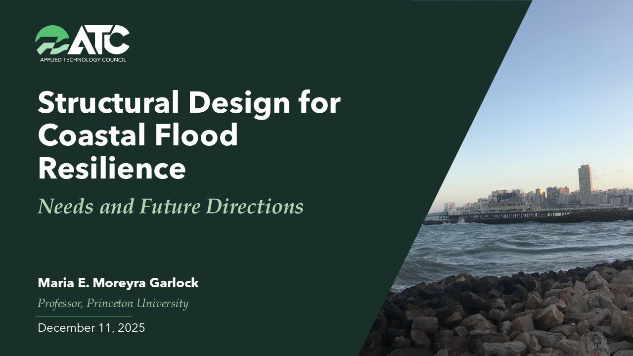 Designing for Coastal Flood Resilience: Current Structural Eng'g Practice and Future Opportunities