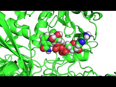 Ligand Reader & Modeler Tutorial 2 - Building Ligand Structure from PDB file