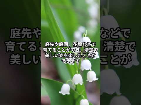 園芸 伝統と象徴が込められた花、スズラン