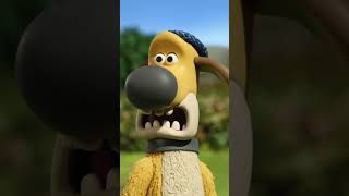 Download lagu Pumpkins are people!🐑🐑🐑 #shorts #shaunthesheep #cartoonforkids #party #animals #preschool mp3