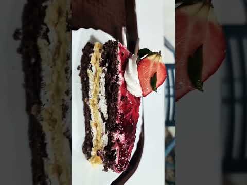Cafeteria #shortsvideo #shorts #viral #viralshorts #reels #viralreels #cafeteria #lifeineurope #cake