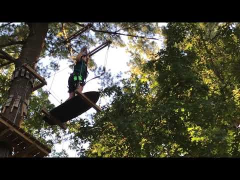 canton treetop with music
