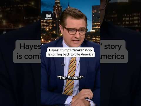 Hayes: Trump’s 'snake' story is coming back to bite America
