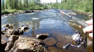 Ссылка
