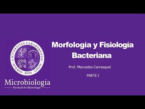 Tema 2. Parte I: Morfología y Fisiología Bacteriana.