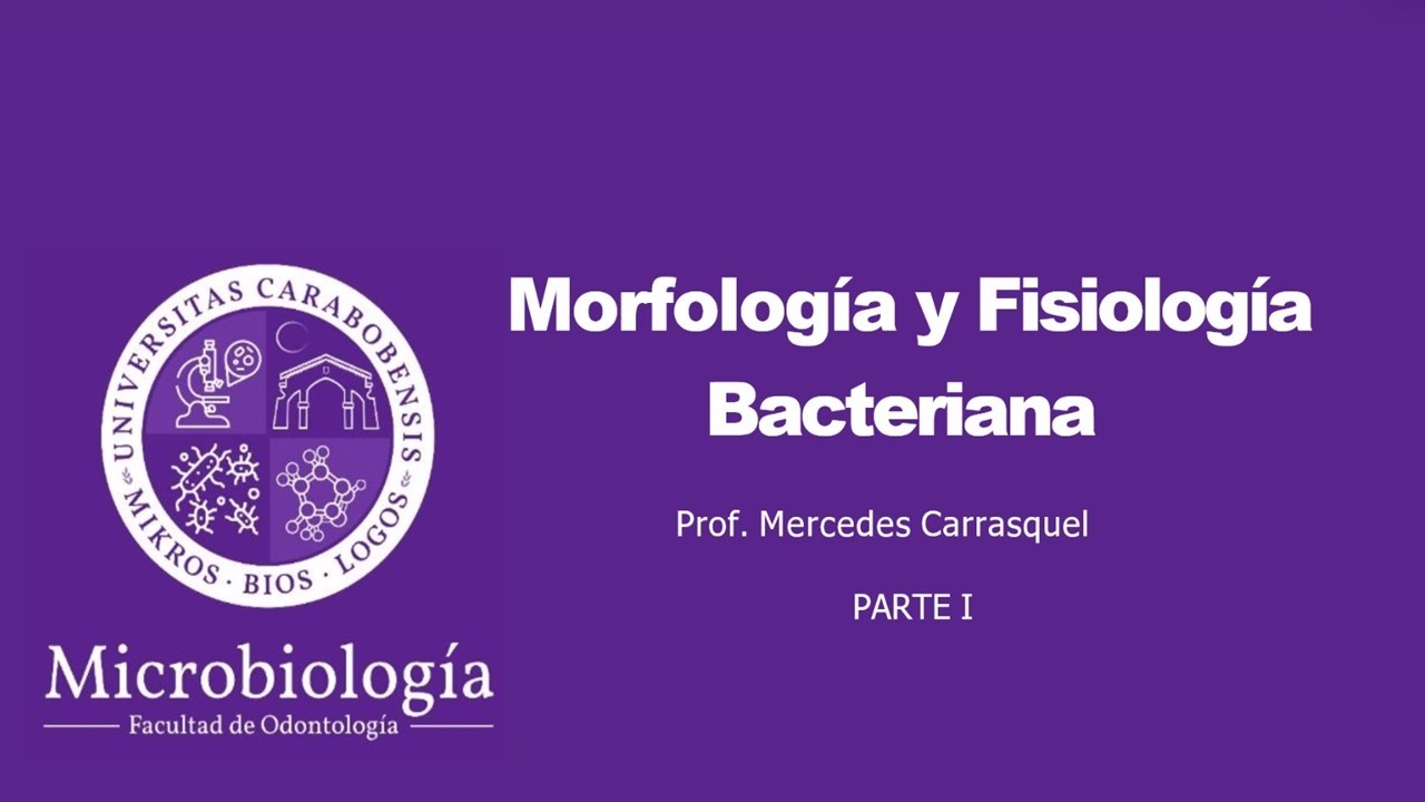 Tema 2. Parte I: Morfología y Fisiología Bacteriana.