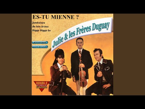 Jattends Le Jour De Ton Retour - Julie et les…