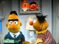 Sesame Street You Re Not Bert AVI