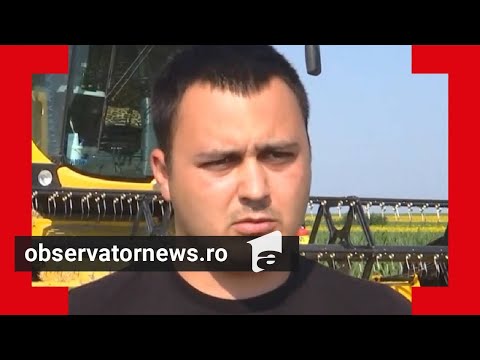 Fermierii care au pariat pe rapiţă au dat lovitura