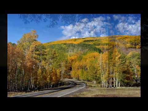 Blagorodna Badnikova   Vila razvila gora zelena