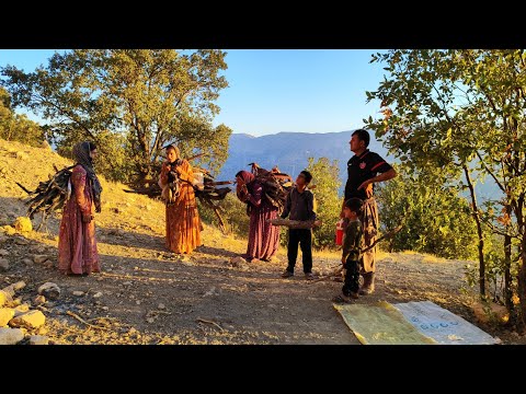 "Nomadic Women and Girls: The Backbone of Firewood Carrying"