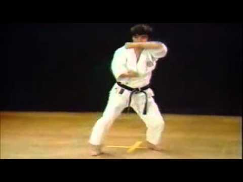 23 Kata Wankan Shotokan Karate Hirokazu Kanazawa