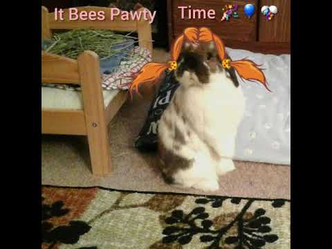 Happy birthday,  janet