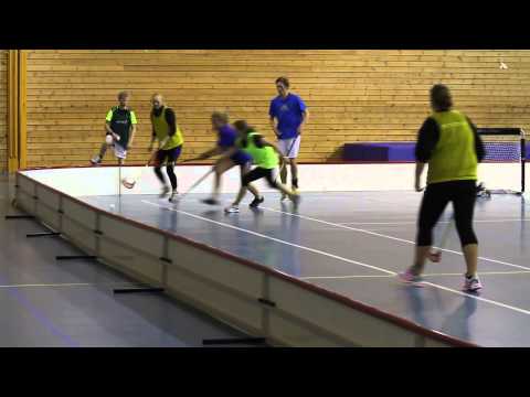 Skoleåret 2012-2013: Innebandyturnering i Rena Leir