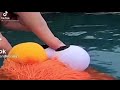 Eimo