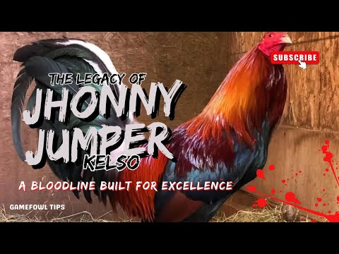 Legacy of Jhonny Jumper Kelso