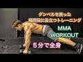 ダンベル5分で格闘技に役立つワークアウト[5Minute MMA Workout]