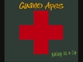 Guano Apes - Living in a Lie (unplugged) 