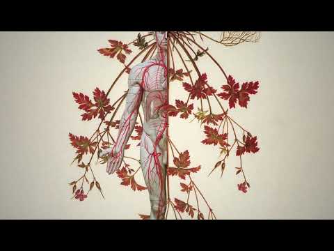 Pleasurekraft - Non-Human Animal