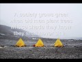 The Tallest Man on Earth, This Wind