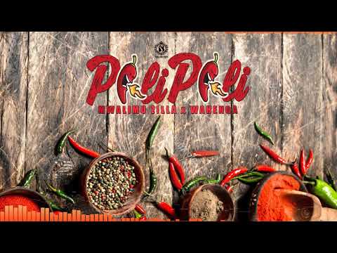 Mwalimu Zilla X KevochiI, Ajaga Boy & Madrum - Pilipili {Official Audio}