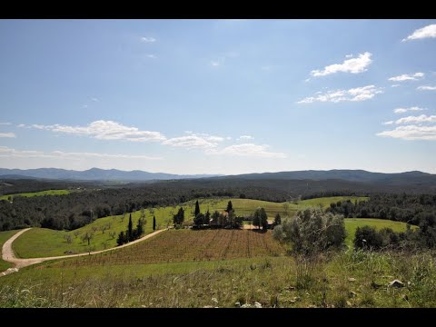 Azienda agricola in Maremma Toscana con uliveto e vigneto  Rif  EZ-516