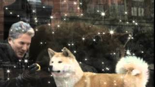 chechar ct - siempre a tu lado