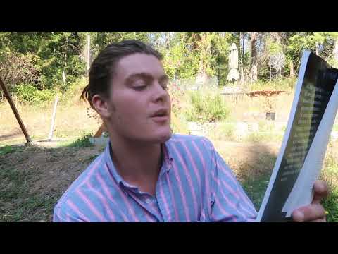 Lermontov: “A hero of our time” Book review