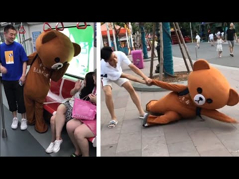 Funny video Brown Bear Try not to laugh  Lovely little bear everyday, TRY NOT TO LAUGH & Fun