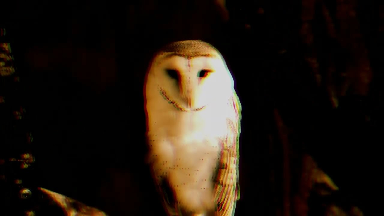 Sminos - The Owl