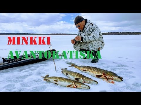 Hauen koukkukalastusta 5/ Pike Fishing In Lapland