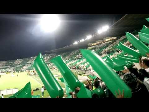 "Recibimiento Hinchada Verdolaga ante Rosario Central" Barra: Los del Sur • Club: Atlético Nacional