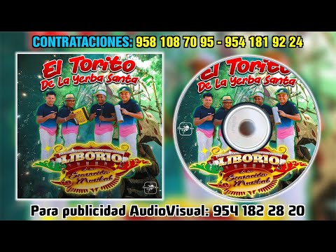 La Guitarra De Mi Costa - Liborio Y Su Sensación Musical 2023 ( Gigantes De La Costa )