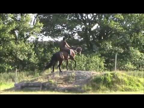 120628 Flip terrängträning