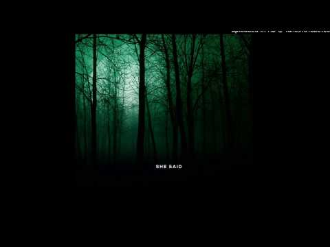 AMPLIFIED // Album Promo // Lukas Freudenberger - SHE SAID (Original Mix) - [Ragnarök]