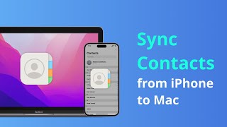 [3 Ways] How to Sync Contacts from iPhone to Mac 2024