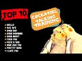 Top 10 Cockatiel Talking Traning, Teach Your Cockatiel to Talk, Cockatiel Talking Practice