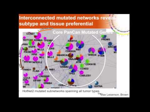 What do we learn from from Pan-Cancer Subtyping? - Josh Stuart