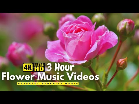 The Largest Flower Collection in the World 4K HDR 60FPS DEMO - Relaxing music and nature sounds 4K