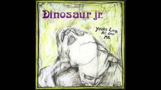Dinosaur Jr. - In a Jar