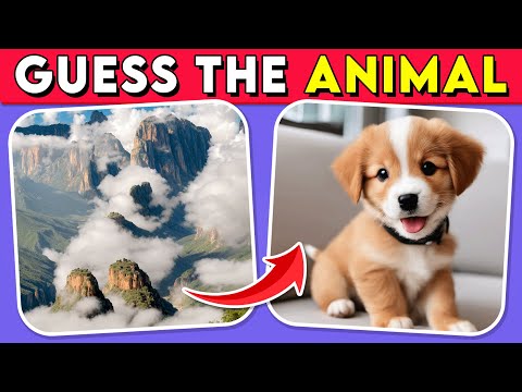 Guess the Hidden Animal by ILLUSION 🐶🐵🐈 Easy, Medium, Hard Levels