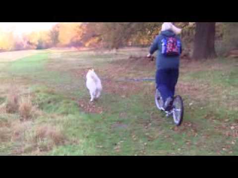 Tehya and Jackie on Scooter