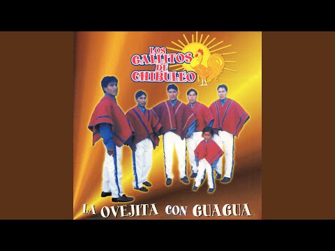 Cumbia Del Chibuleo - Los Autenticos
